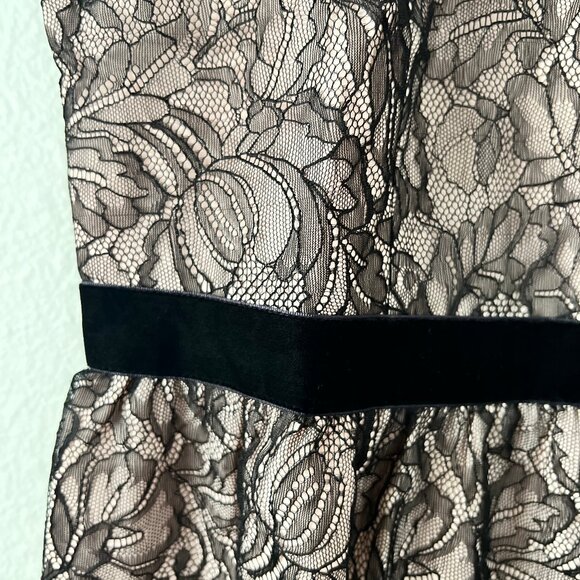 White House Black Market Contrast Lace Bodice Blouse – Size 14 – NWT - Picture 7 of 16